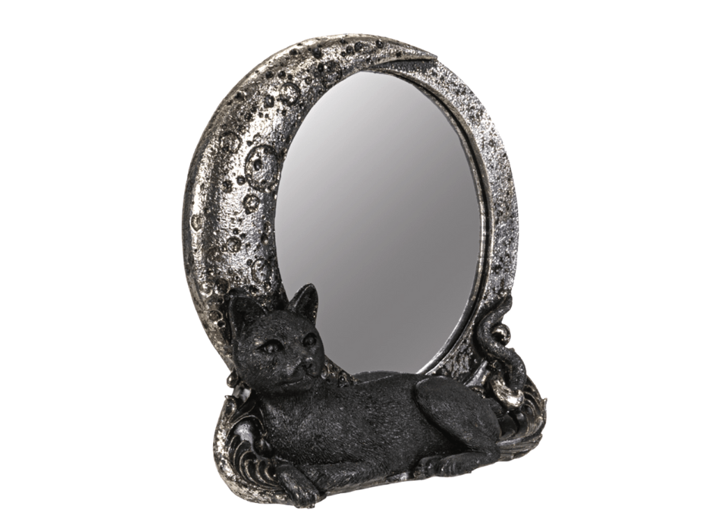 Cat on Moon Mirror