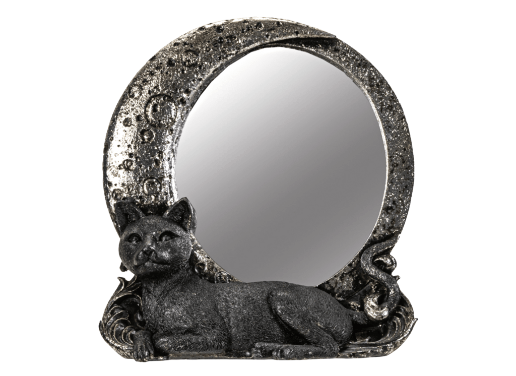 Cat on Moon Mirror