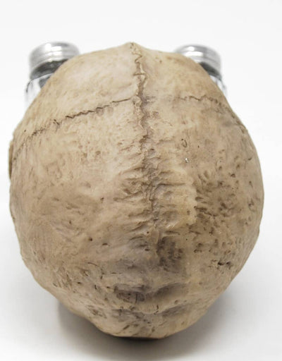 Skull Salt & Pepper Set-7.25"