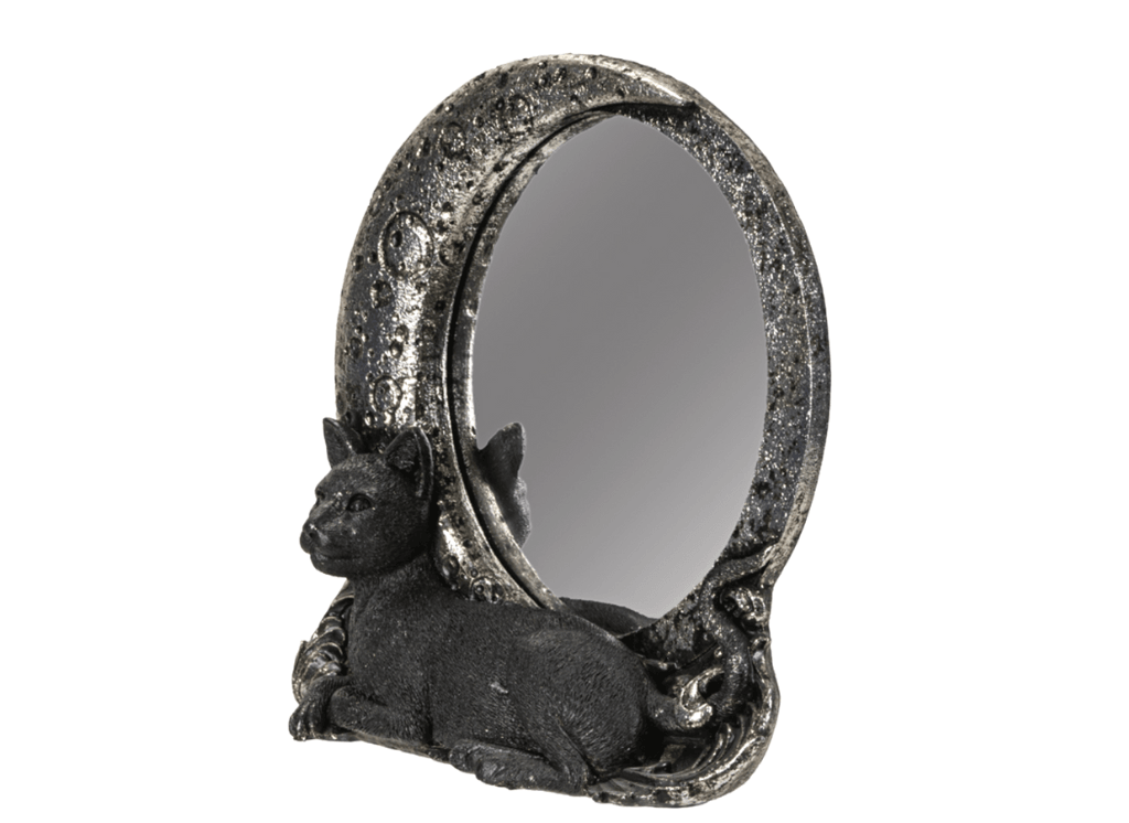 Cat on Moon Mirror